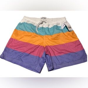 Colorful Striped Men's XL Swim Shorts